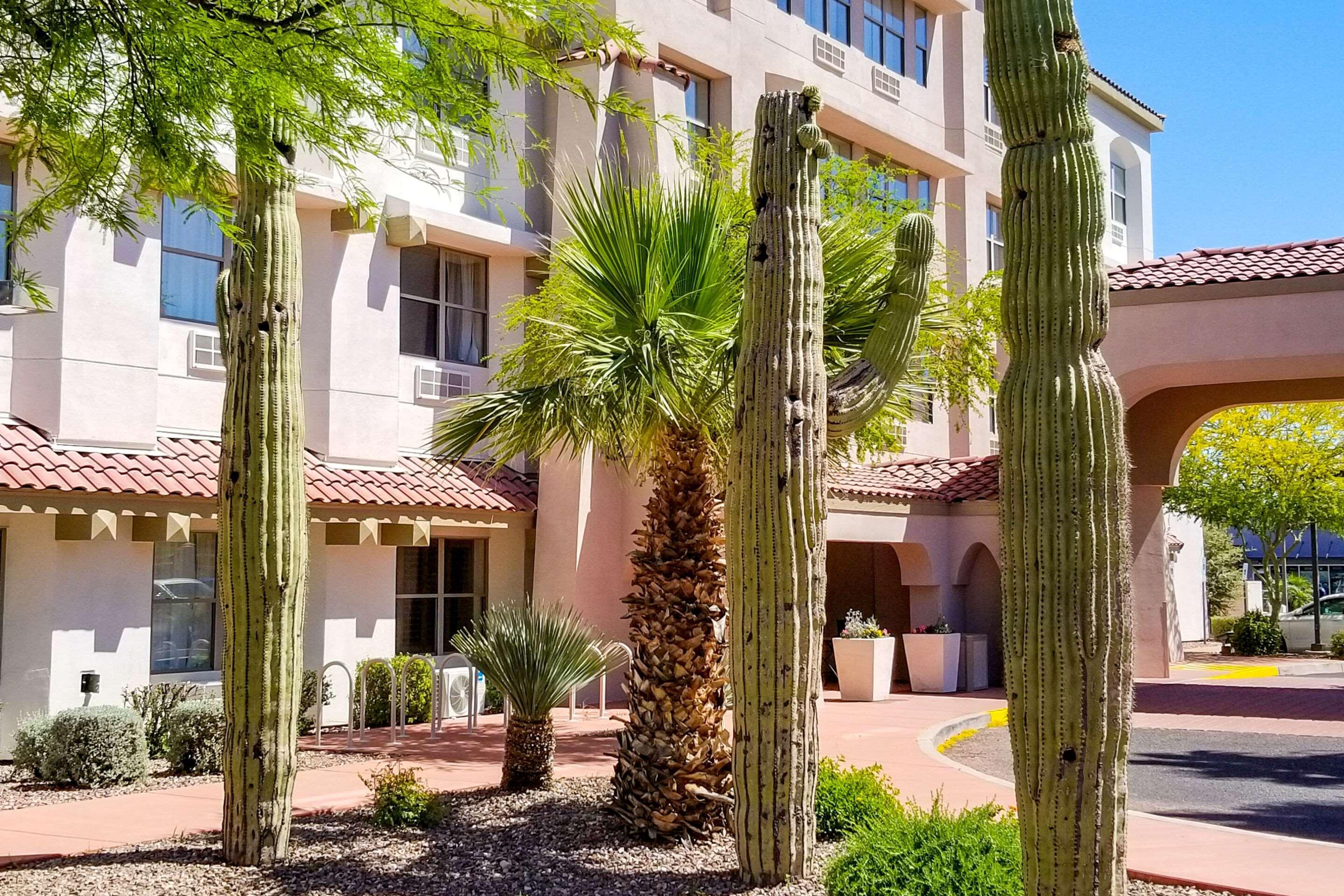 Comfort Inn & Suites Tempe Phoenix Sky Harbor Airport Εξωτερικό φωτογραφία